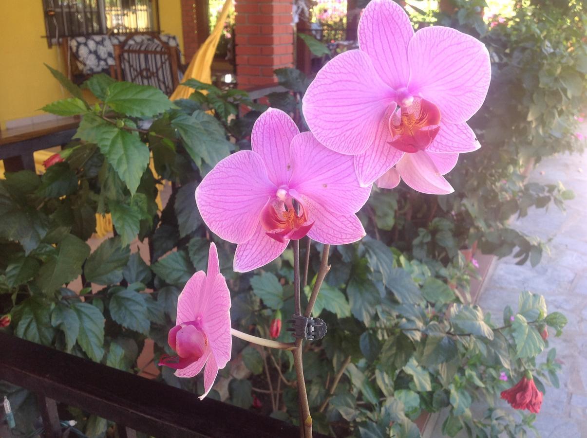 Casa De Los Suenos B&B Coronado Panama Playa Coronado Kültér fotó