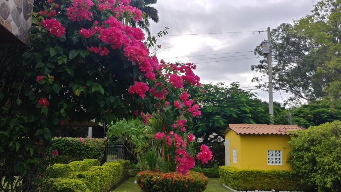Casa De Los Suenos B&B Coronado Panama Playa Coronado Kültér fotó